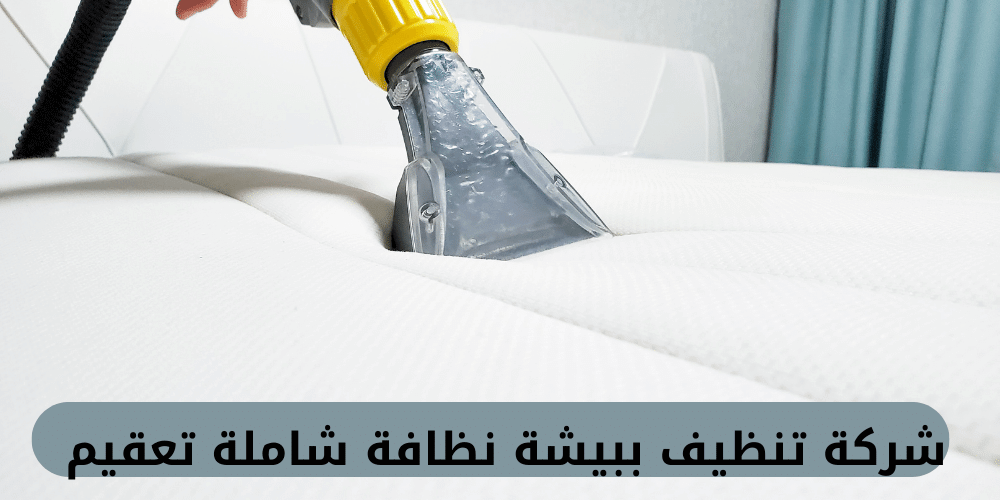 شركة تنظيف ببيشة